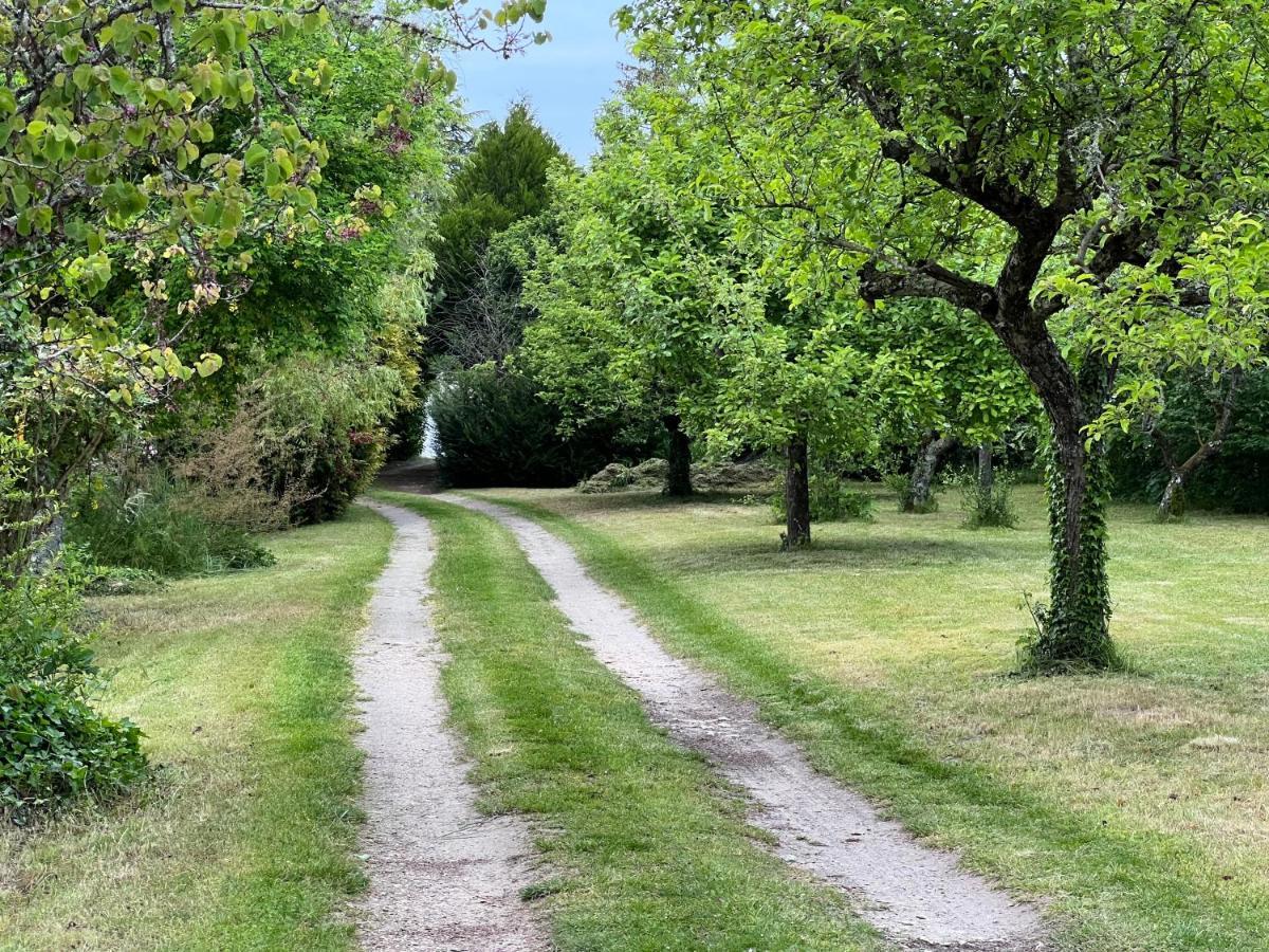 Les Jardins De L'Hermitage Cellettes  Екстер'єр фото
