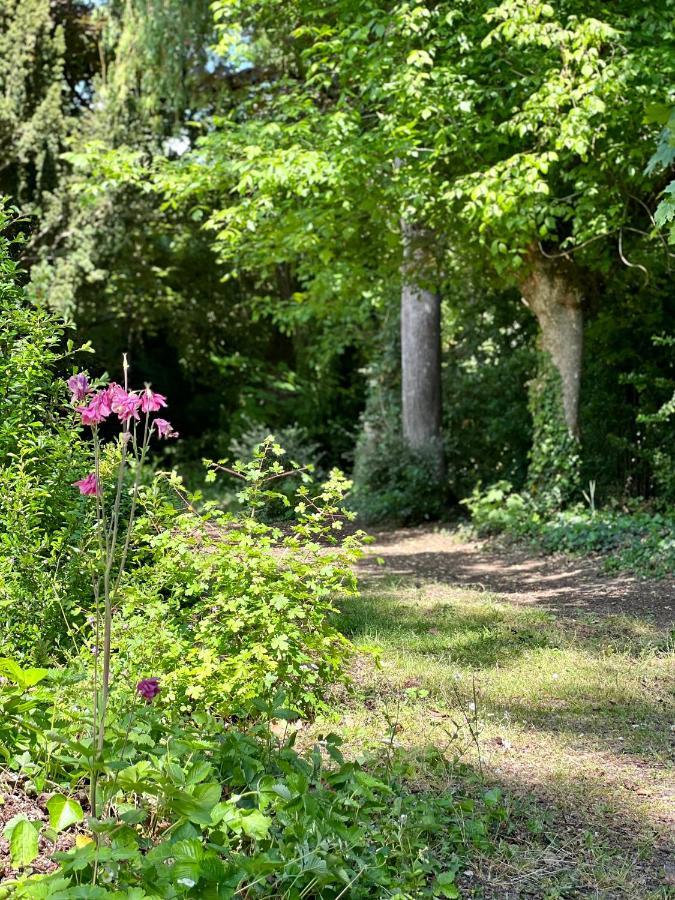 Les Jardins De L'Hermitage Cellettes  Екстер'єр фото